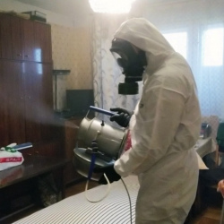 Дезинфекция от клопов в Молодях